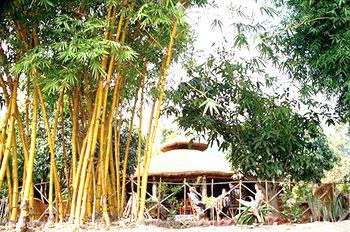 Tiger Camp Resort Rāmnagar Buitenkant foto